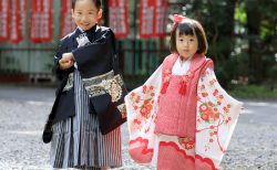 赤坂日枝神社　七五三出張撮影