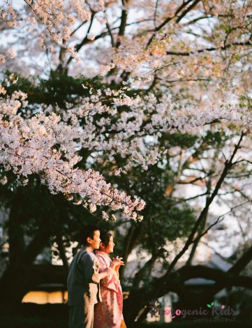 桜ポートレート