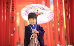 根津神社で男の子アンティーク着物七五三出張撮影