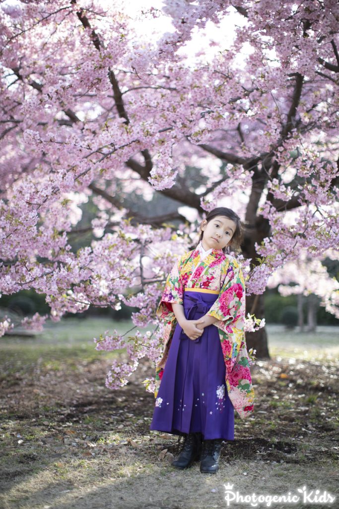 アンティーク着物卒園袴桜の木の下で