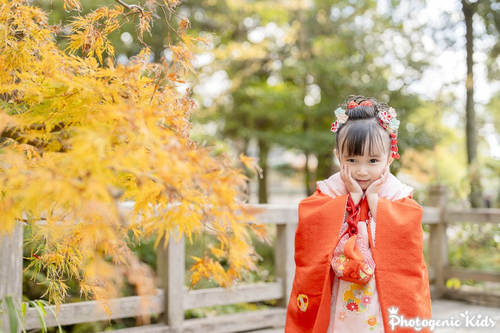 【鎌倉｜鶴岡八幡宮】七五三動画と写真で残す出張撮影2時間｜中編｜紅葉が美しい境内でした！