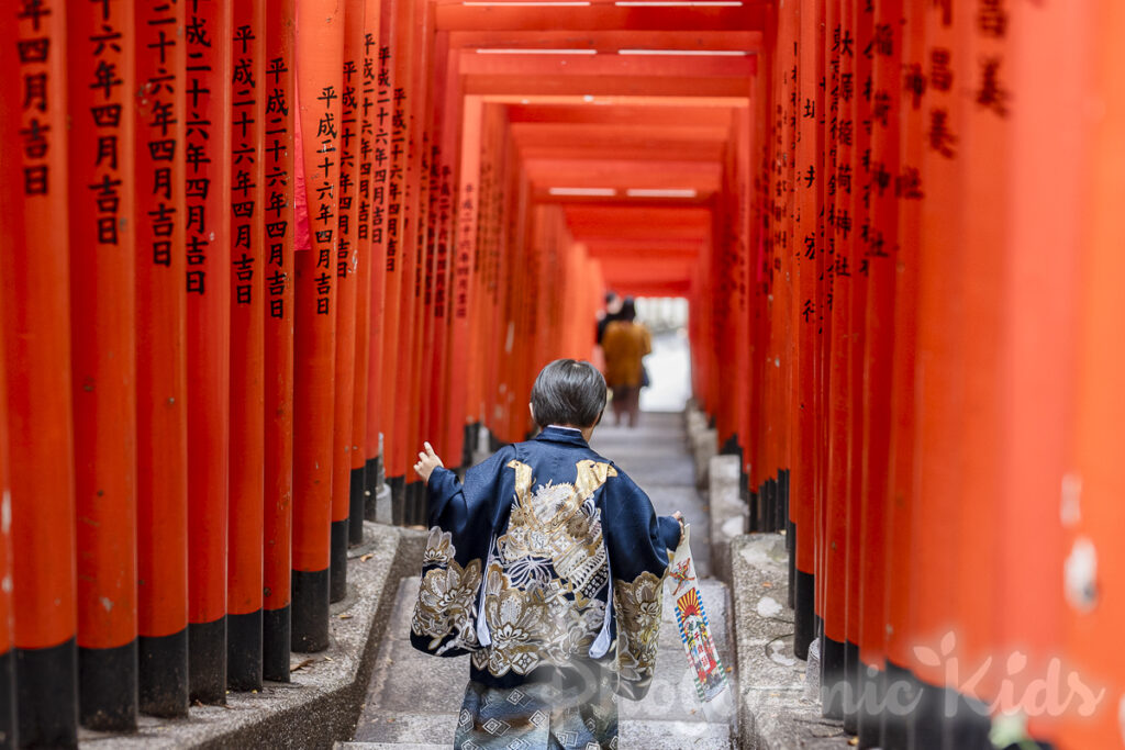 日枝神社 七五三 稲荷参道 男の子 後ろ姿
